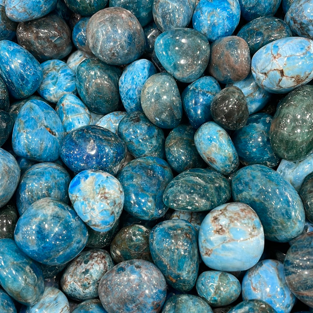 Pietra levigata di apatite blu