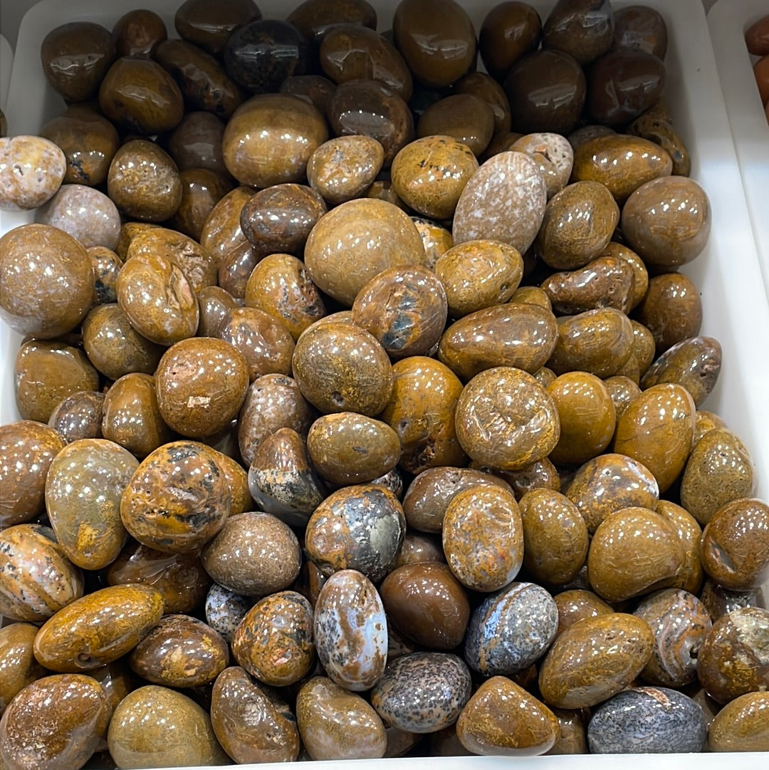 Yellow Pietersit Tumblestone