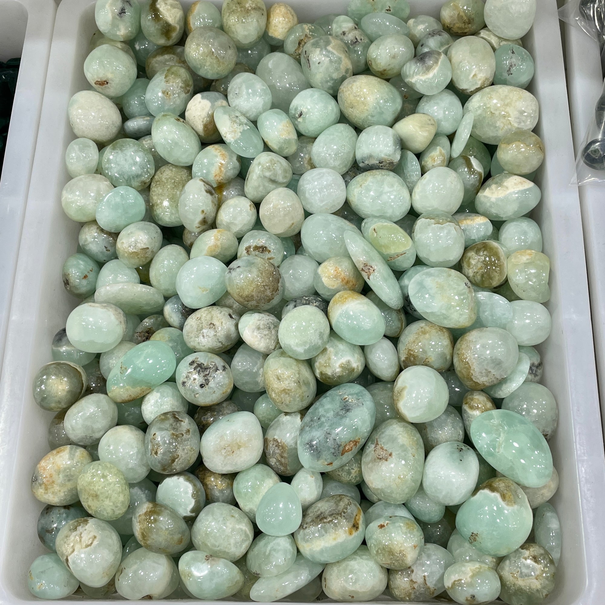 Pietra levigata di agata prehnite verde
