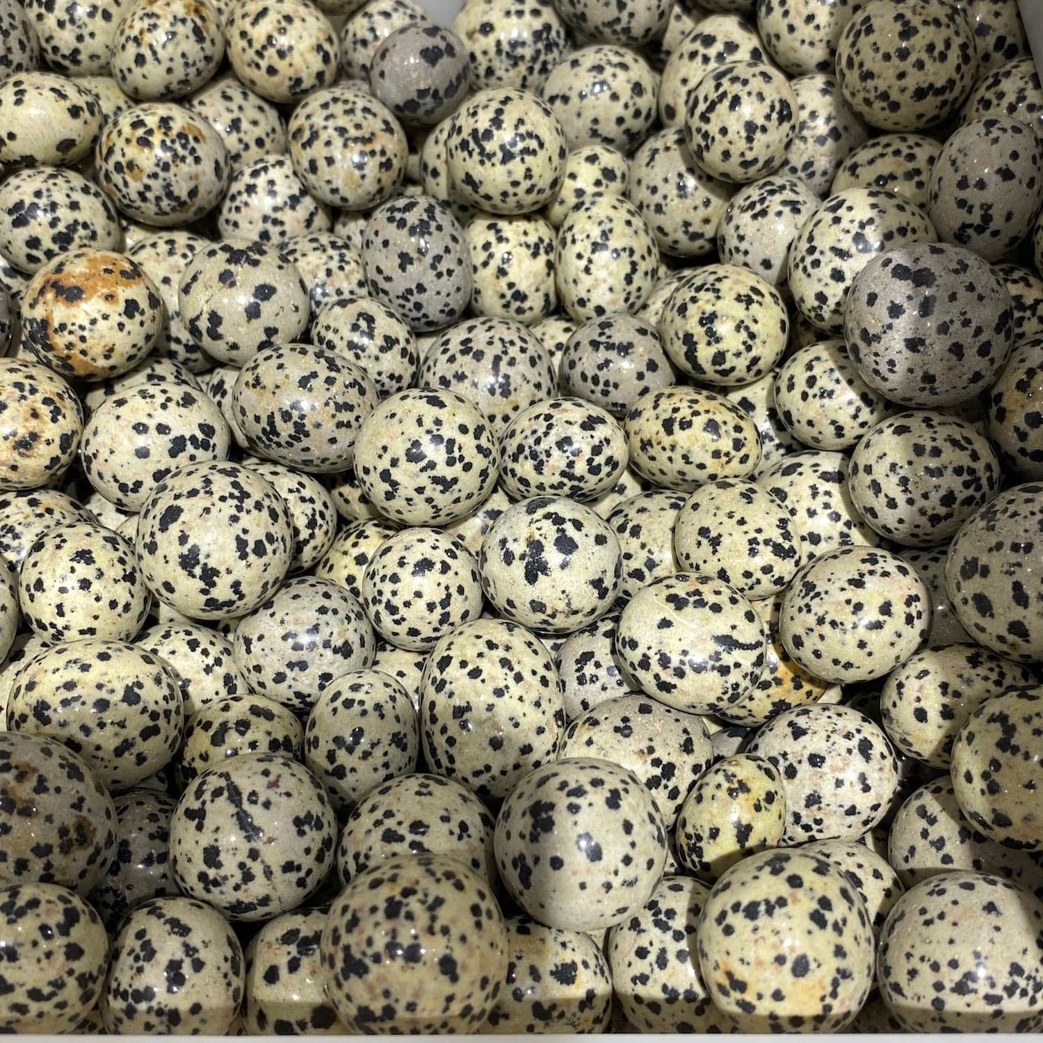 Dalmatian Jasper Tumblestone