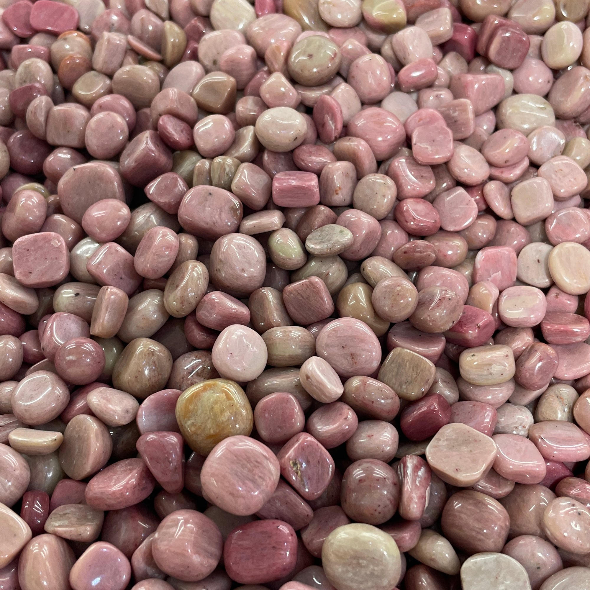 Trucioli di legno pietrificato rosa