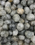 Quartz With Black Biotite/Mica Tumblestone
