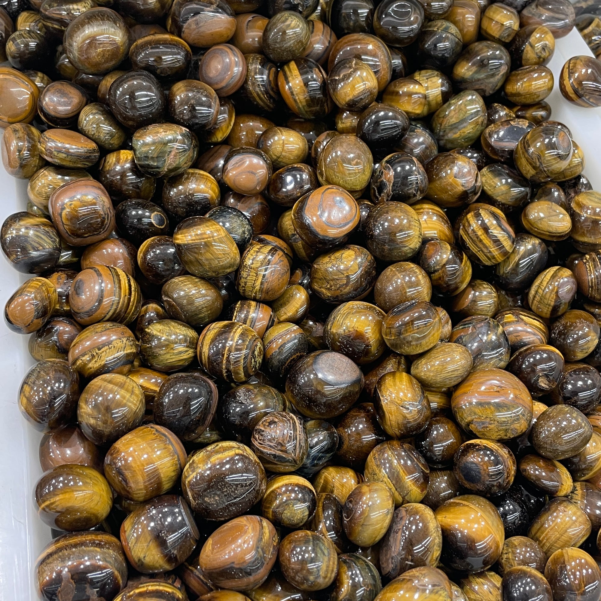 Pietra levigata occhio di tigre giallo