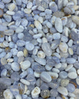blue lace agate chips 7-9mm size