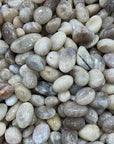 Grey Moonstone Chips/Nuggets - RockZ Sourcing Hub