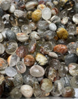 Layer Phantom Quartz Tumblestone - RockZ Sourcing Hub