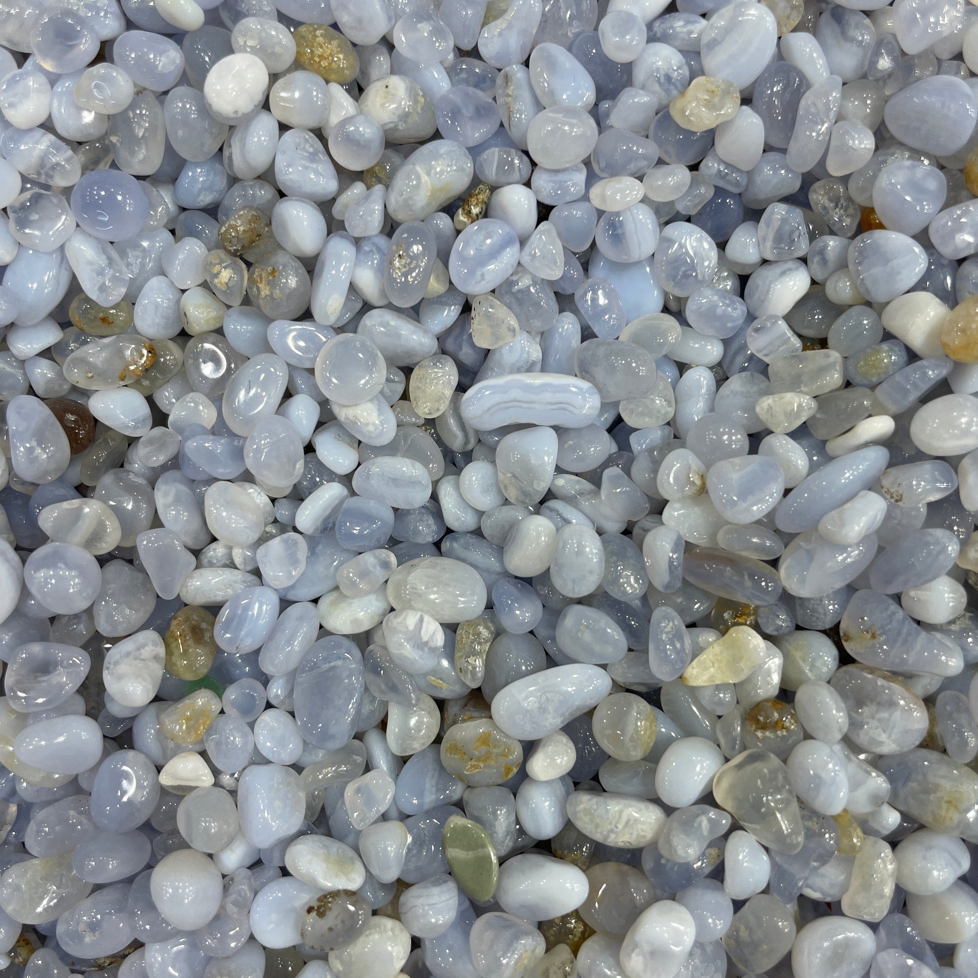 blue lace agate chips 8-12mm size