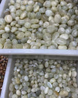 White Moonstone Tumbled Stone