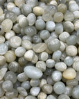 Grey Moonstone Tumbles