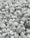 Howlite Tumbles