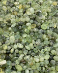 Prehnite Agate Chips