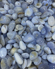 Blue Lace Agate Tumblestone - RockZ Sourcing Hub