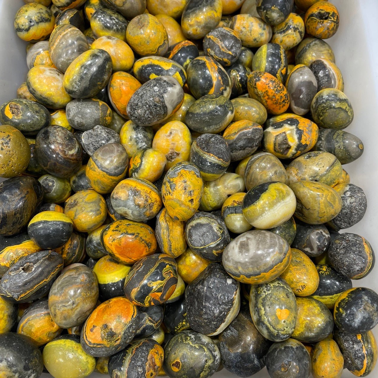 Bumblebee Jasper Tumblestone - RockZ Sourcing Hub