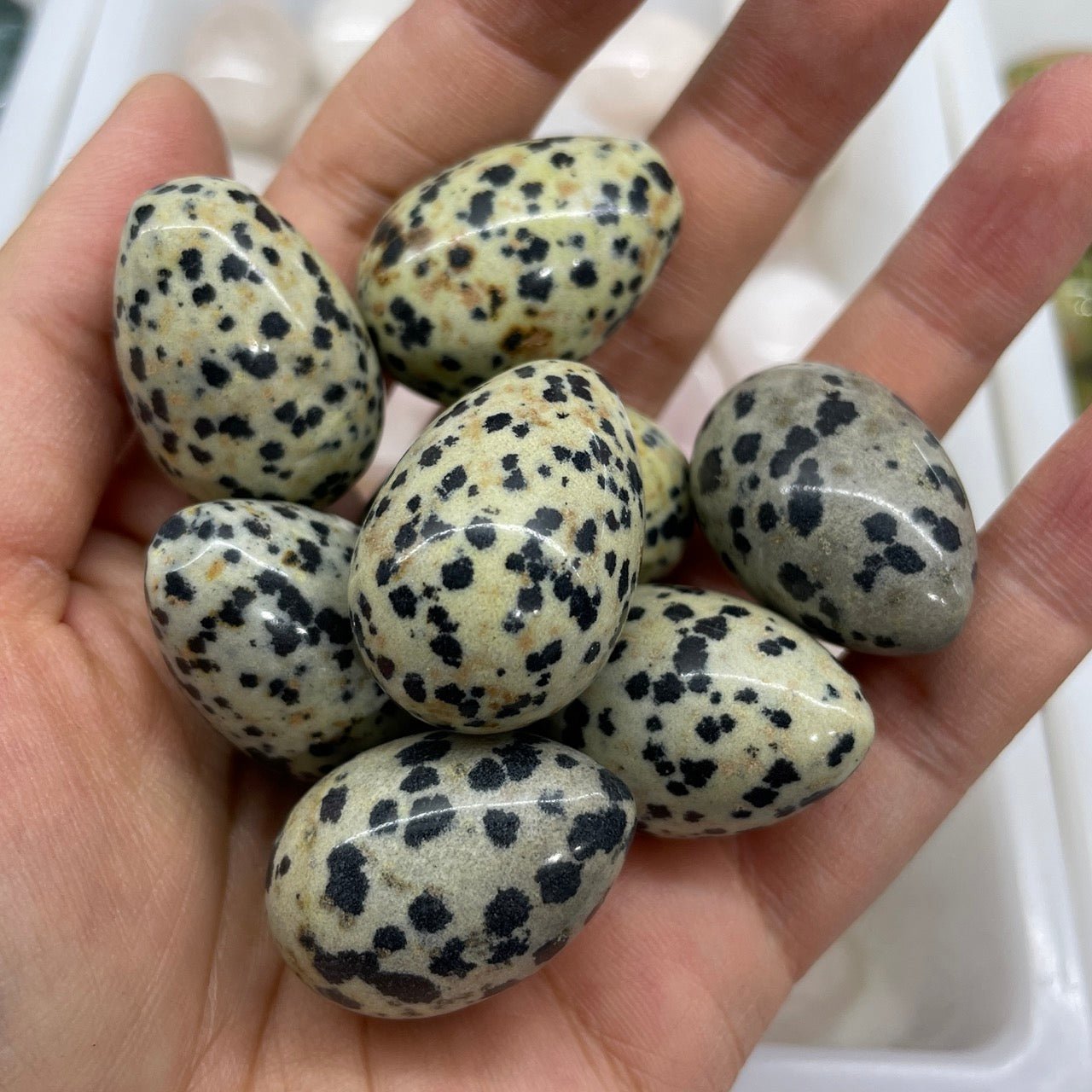 Dalmatian Jasper Egg - RockZ Sourcing Hub