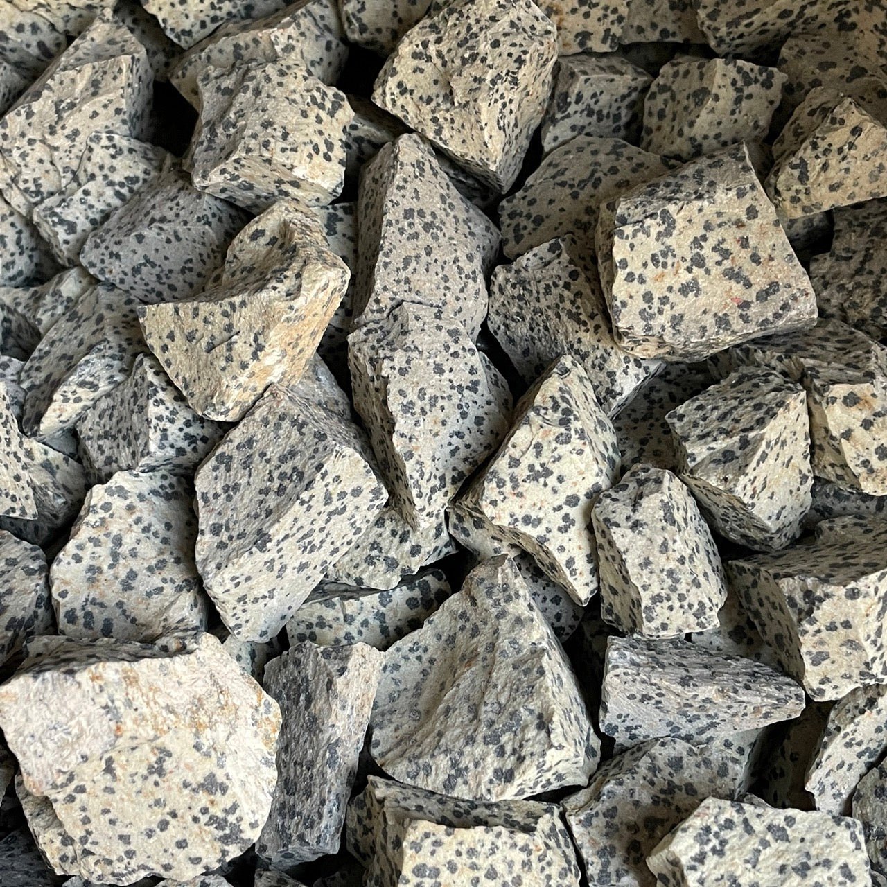 Dalmatian Jasper Raw - RockZ Sourcing Hub