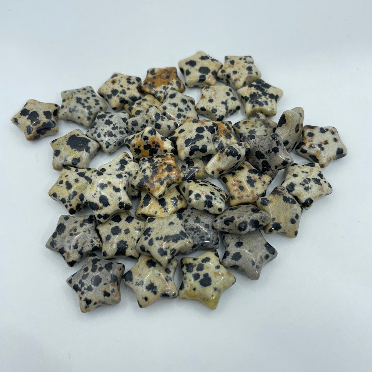 Dalmatian Jasper Star - RockZ Sourcing Hub