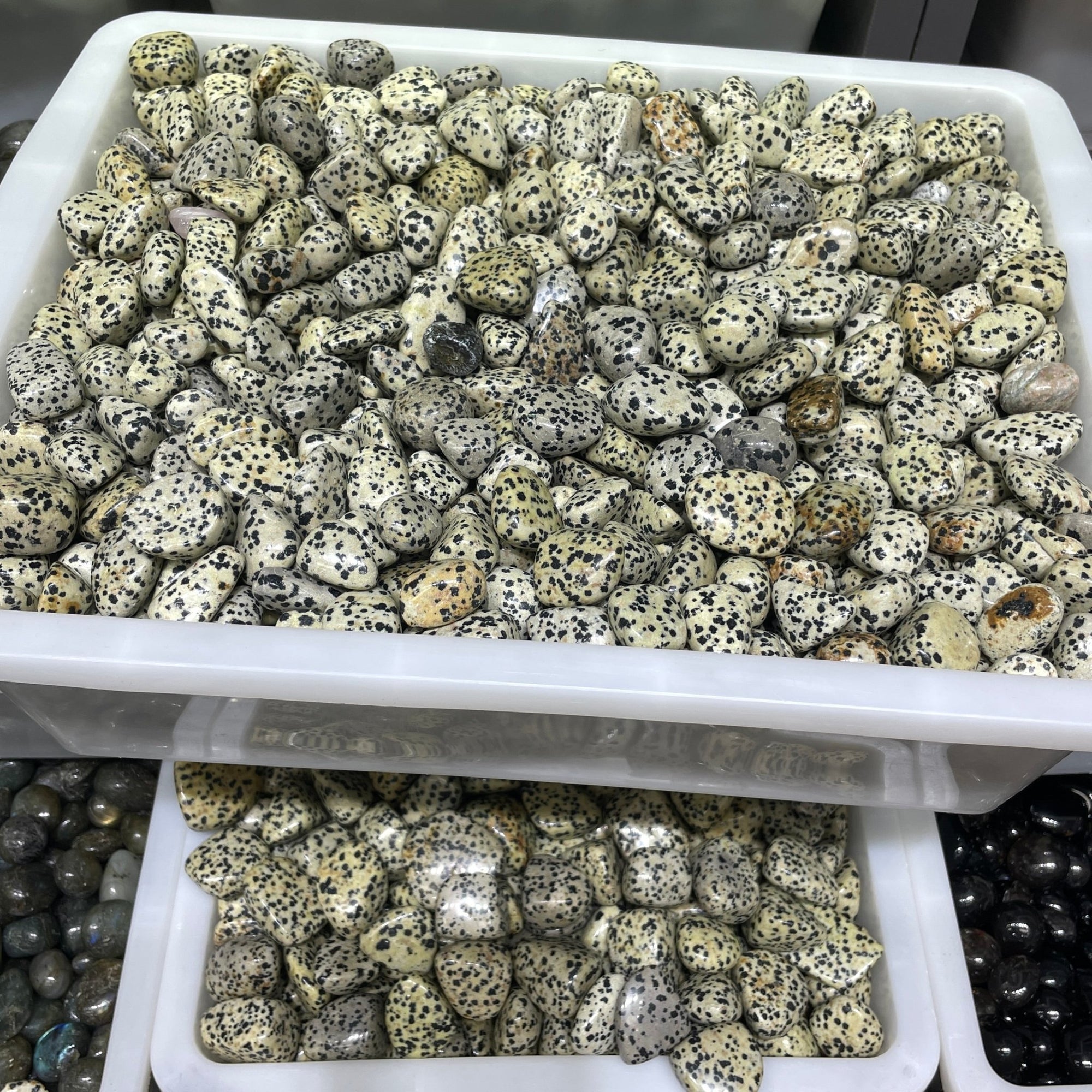 Dalmatian Jasper Tumblestone - RockZ Sourcing Hub