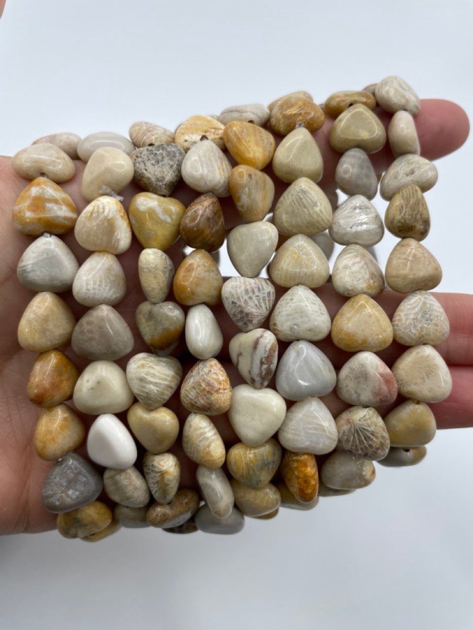 Fossilized Coral Heart - Shape Stretch Bracelet - RockZ Sourcing Hub