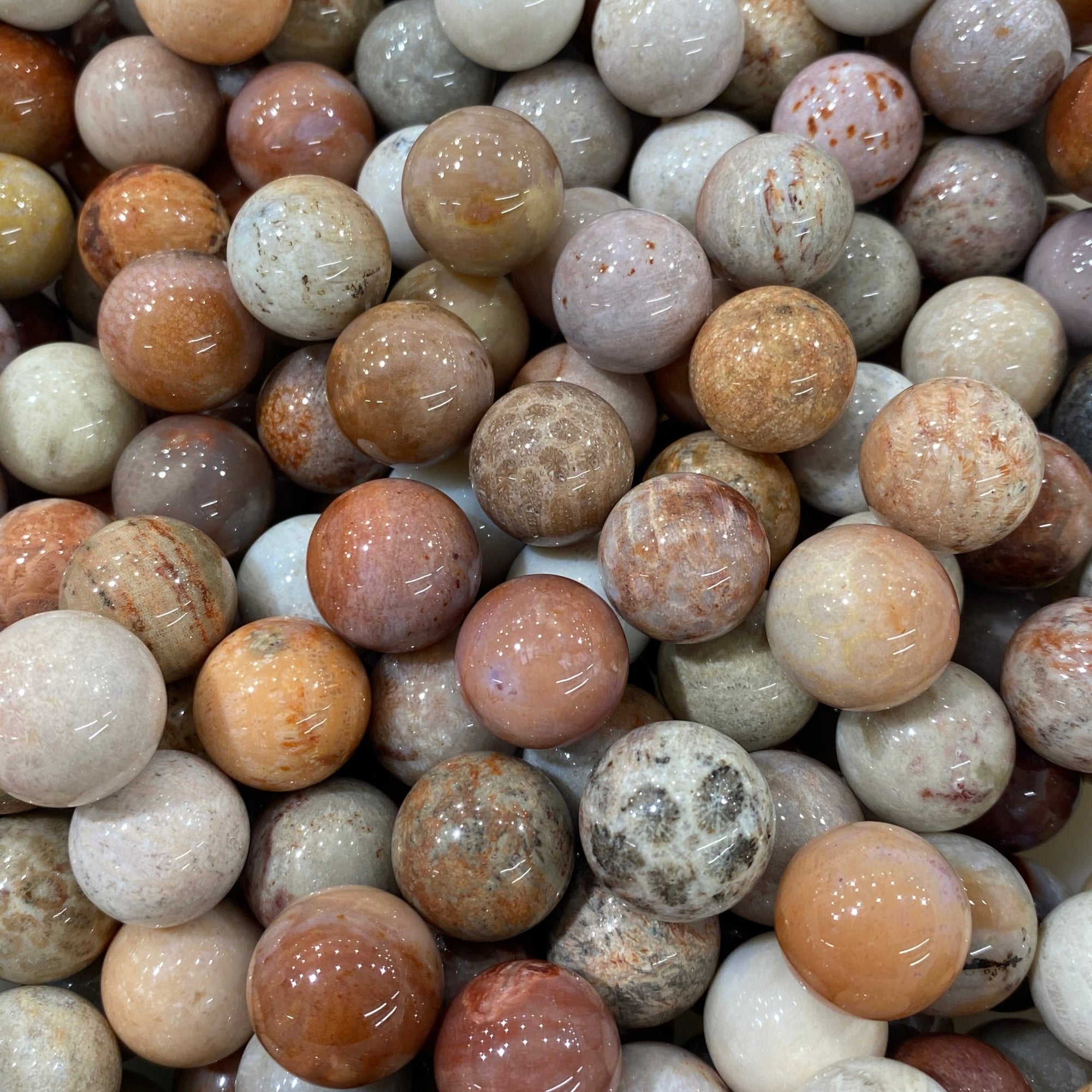 Fossilized Coral Mini Sphere - RockZ Sourcing Hub