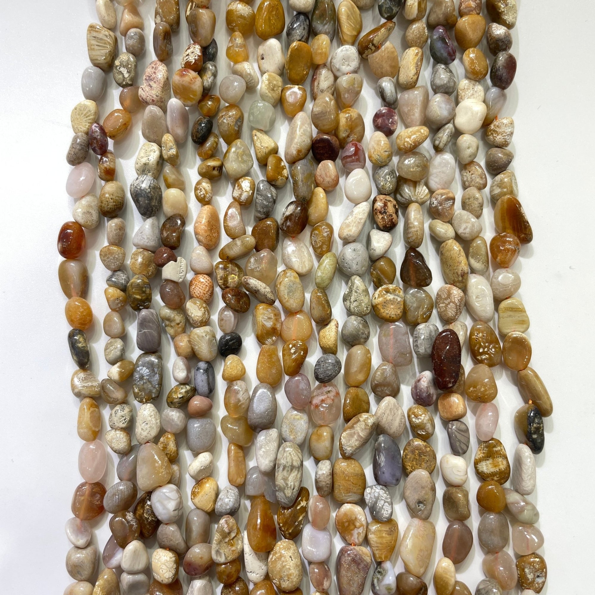 Fossilized Coral Nugget Bead Strand - RockZ Sourcing Hub