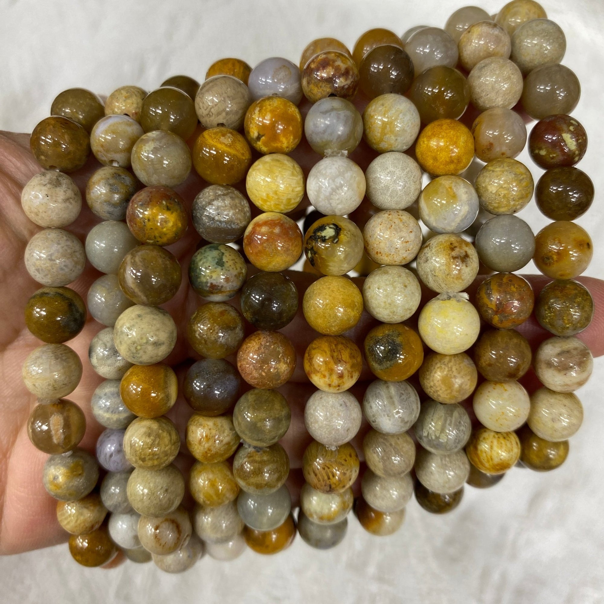 Fossilized Coral Round Bead Stretch Bracelet - RockZ Sourcing Hub