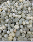 Green Moonstone Tumblestone - RockZ Sourcing Hub