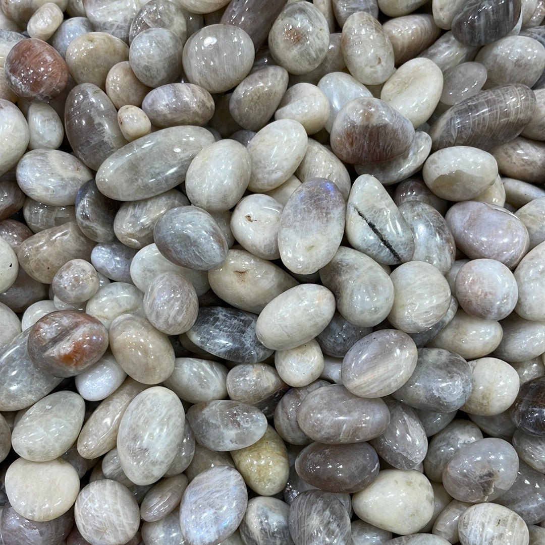 Grey Moonstone Chips/Nuggets - RockZ Sourcing Hub
