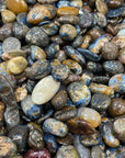 Pietersite Chips/Nuggets - RockZ Sourcing Hub