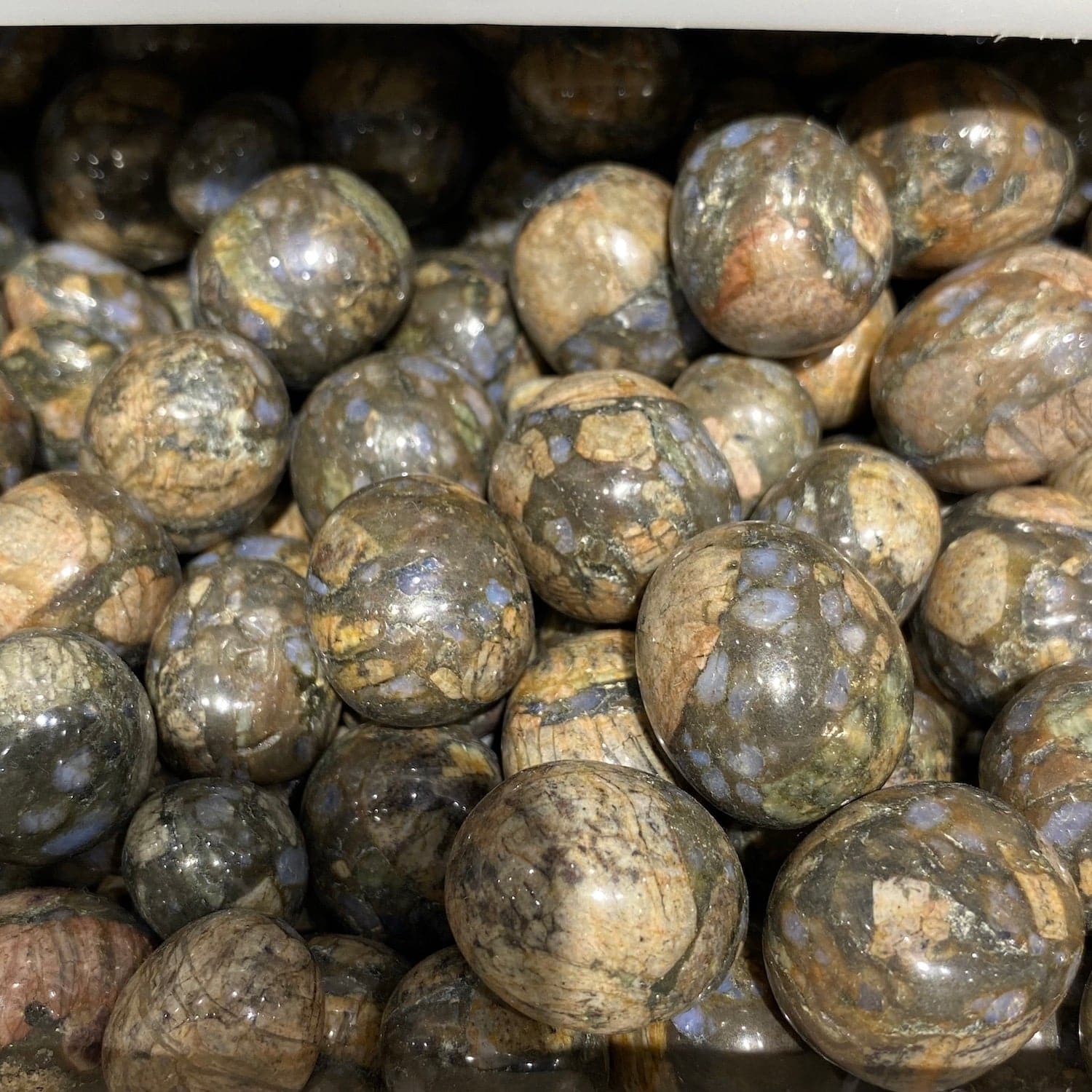 Que Sera/Galaxy Rhyolite Tumblestone - RockZ Sourcing Hub