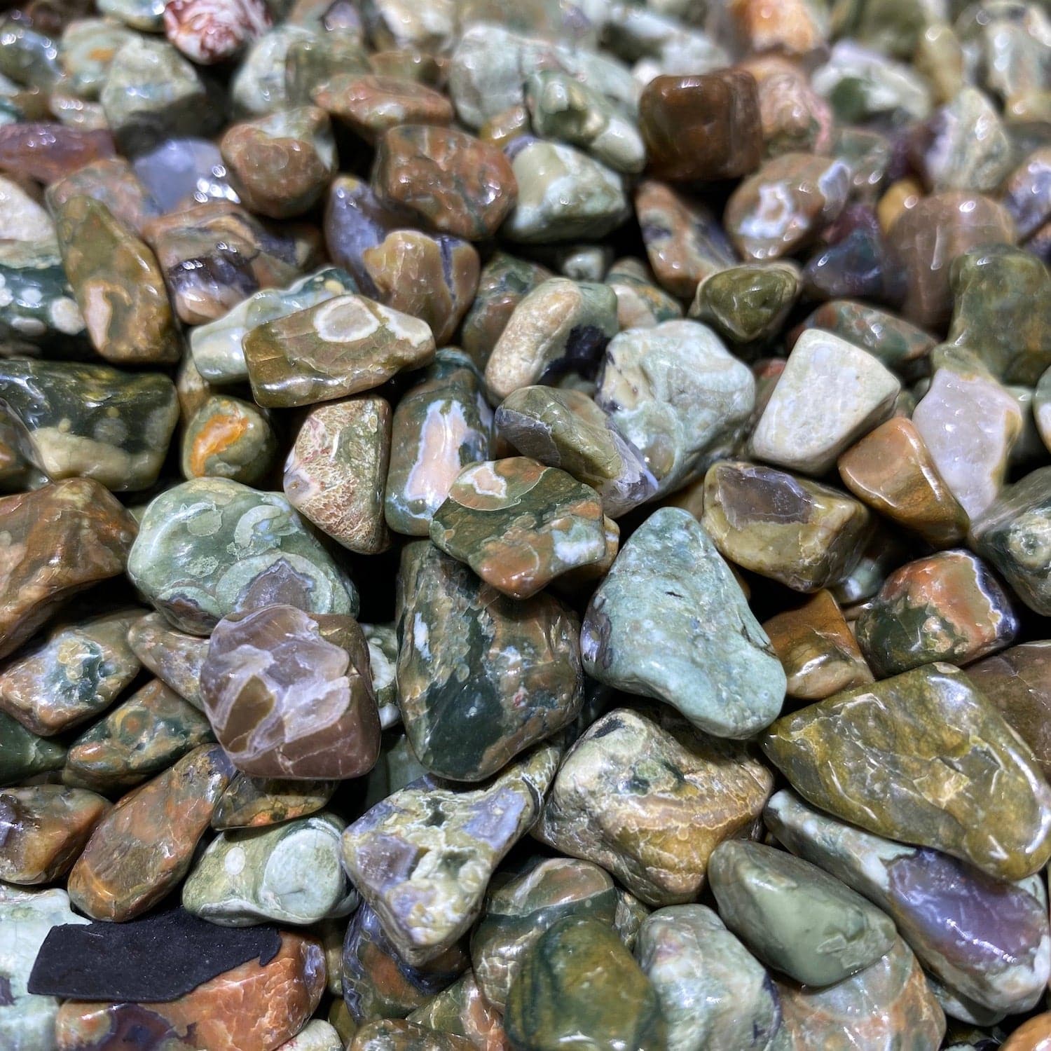 Rhyolite/Rainforest Jasper Chips/Nuggets - RockZ Sourcing Hub