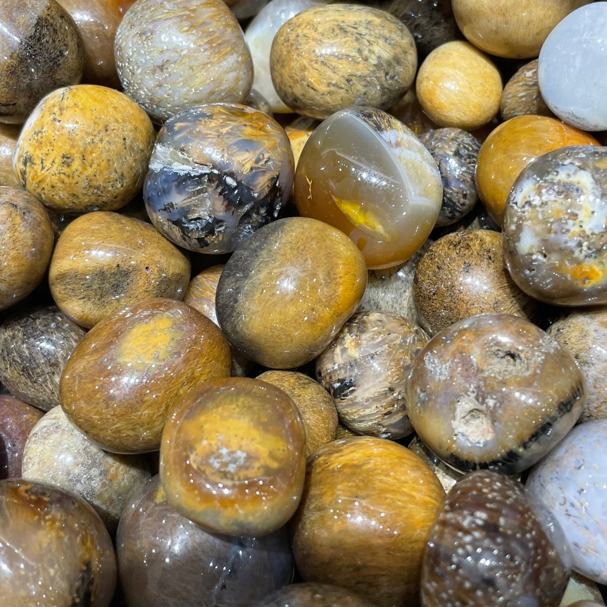 Sagenite Agate Tumblestone - RockZ Sourcing Hub