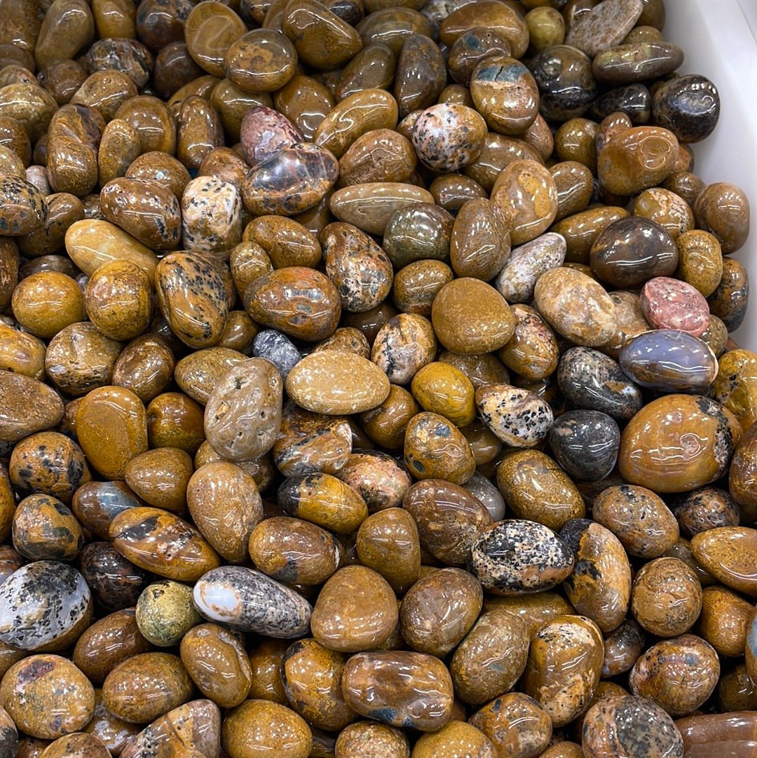 Yellow Pietersit Tumblestone - RockZ Sourcing Hub