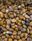 Yellow Pietersit Tumblestone - RockZ Sourcing Hub