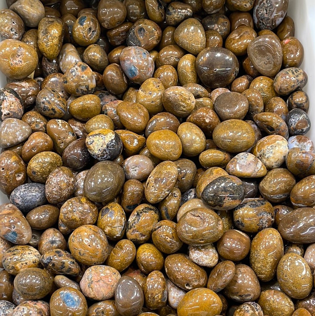 Yellow Pietersit Tumblestone - RockZ Sourcing Hub