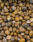 Yellow Pietersit Tumblestone - RockZ Sourcing Hub